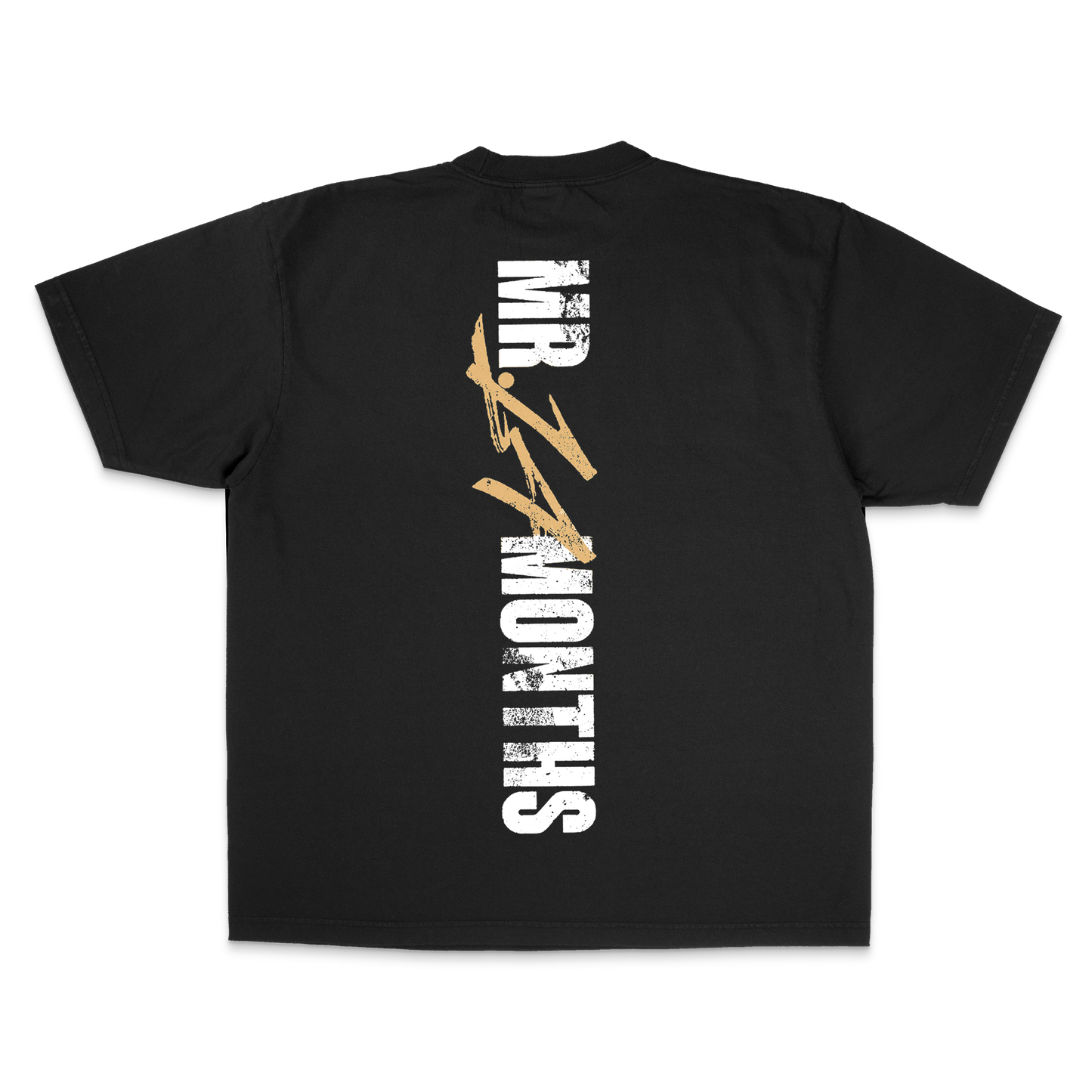 “Mr. 14 Months” Tee